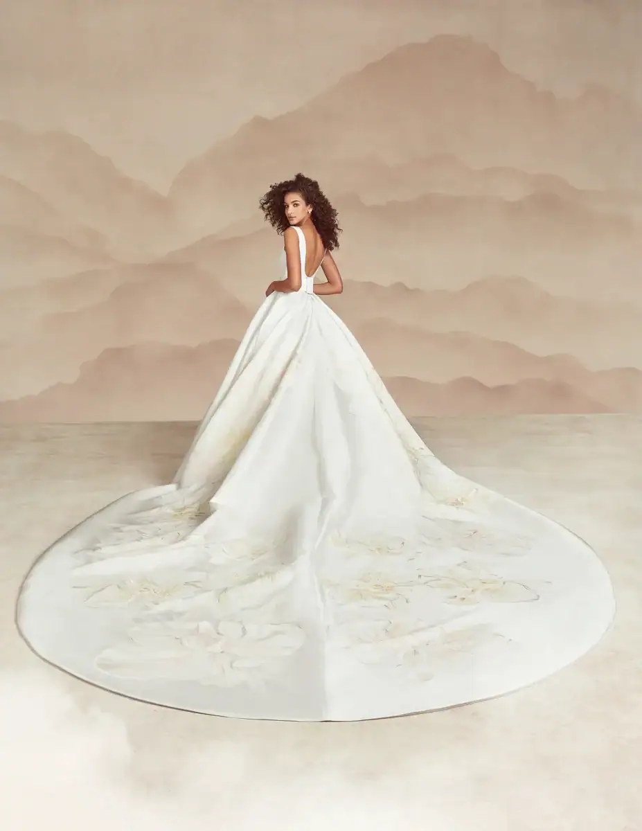 ball gown wedding dress